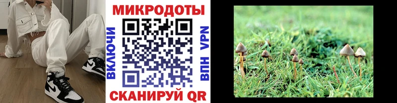 Галлюциногенные грибы Psilocybe  Коммунар 